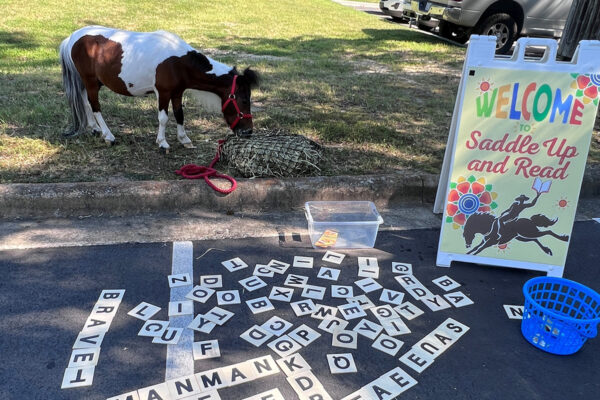 A Saddle Up event with a mini horse