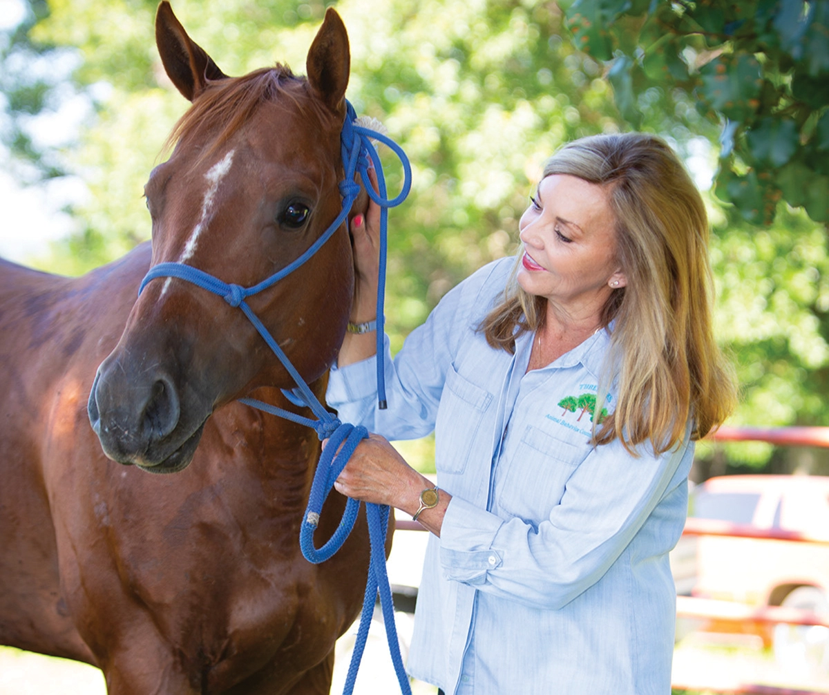 Horse Career: Animal Behaviorist