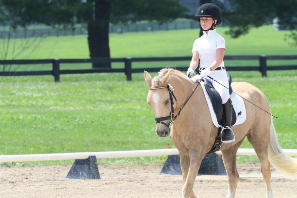 A young rider keeps her horse straight, which is one of the top dressage tips
