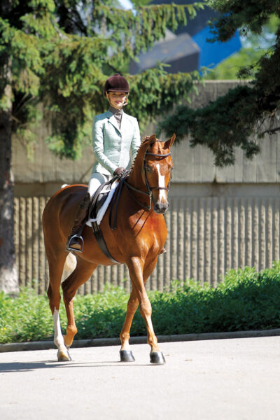 A girl rides a chestnut Morgan horse