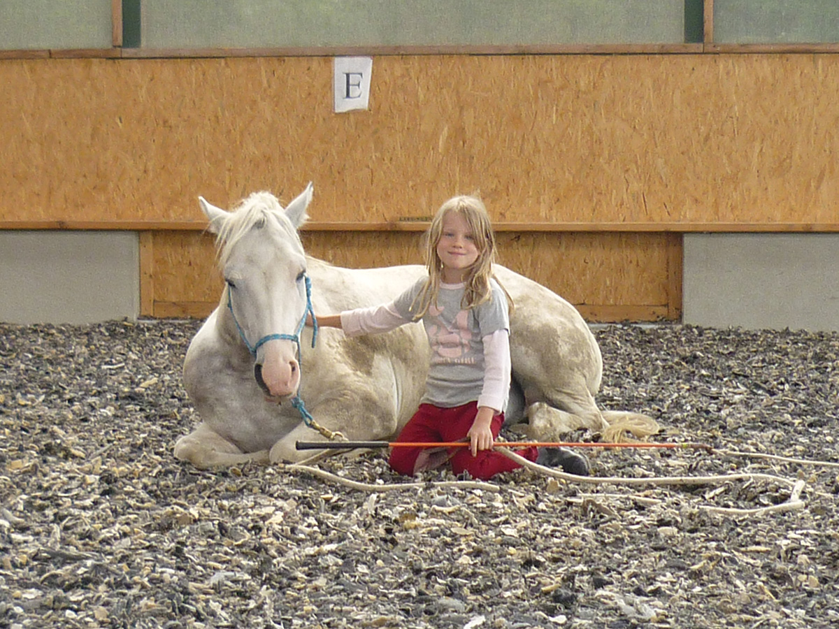 Parelli Pointers: Horse Body Language