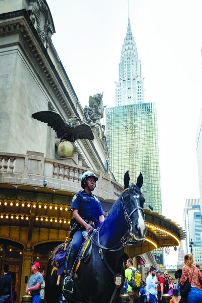 police on horseback