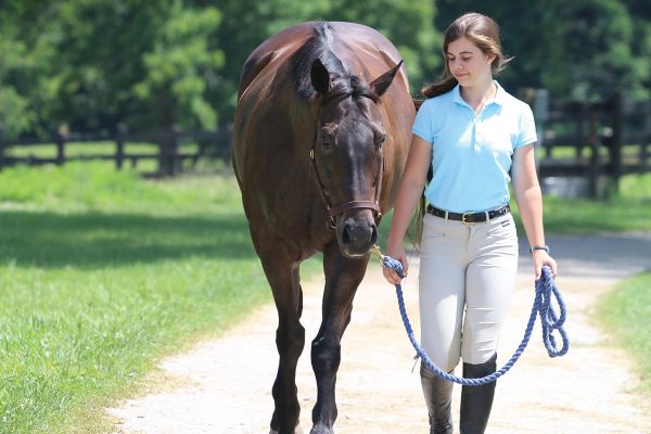 A young rider walks her horse to try to tell if the horse is sick