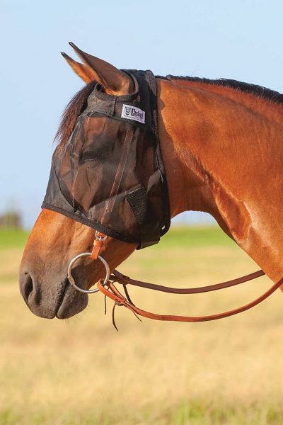 Fly control for horses