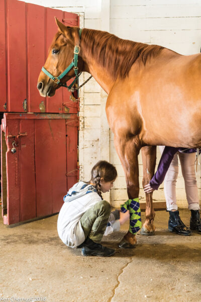 A girl from inner city LA wraps a horse's leg in the Taking the Reins program