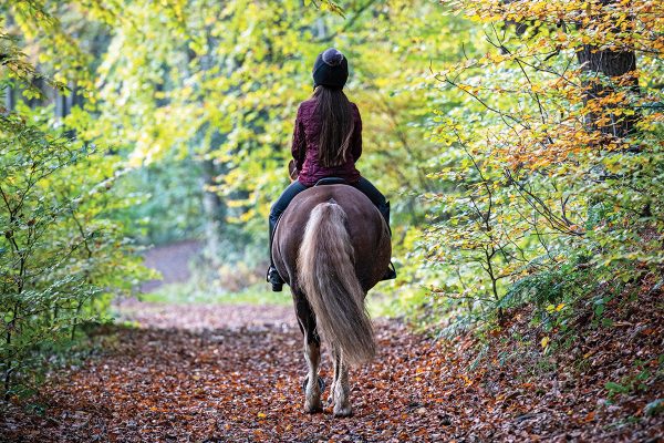 A girl rides her pony through the trees