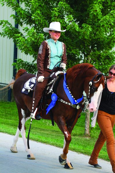 horse show turnout