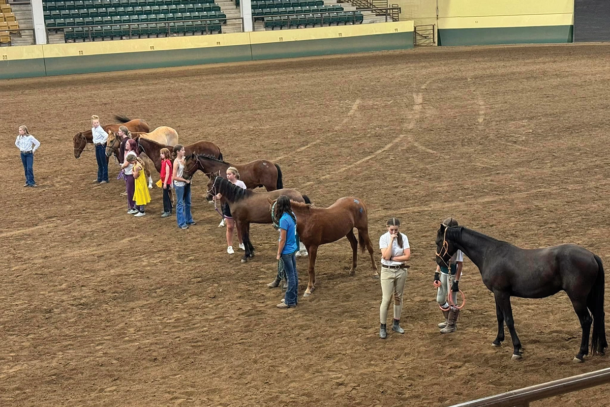 Wild Rose Mustang Advocacy Group's Youth Trainer Program