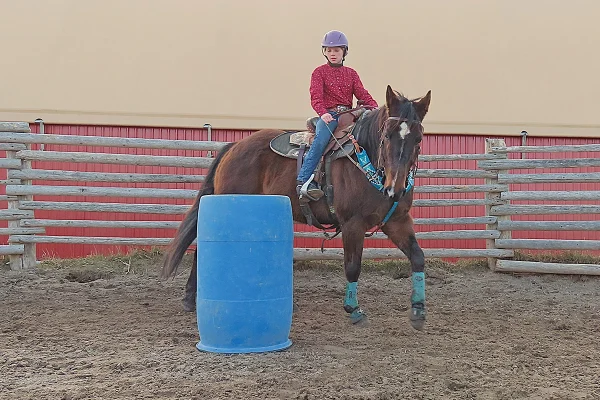 Rosie and Honky doing slow horsemanship work using a barrel.