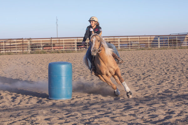 A barrel racing horse rounds a barrel with speed