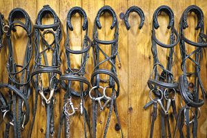 How to Deep Clean a Bridle