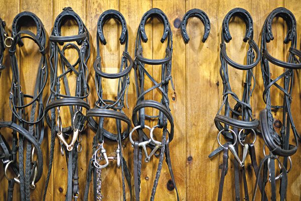 Clean bridles hanging