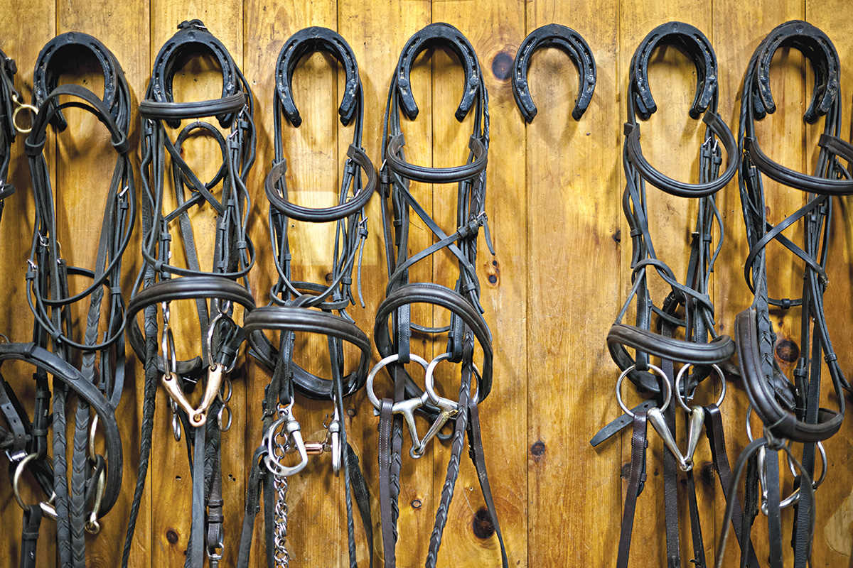 thumbnail image 2 of Zilco 4-Prong Horse Bridle Gear Harness Tack Cleaning Storage Hook – Metal 2 of 3