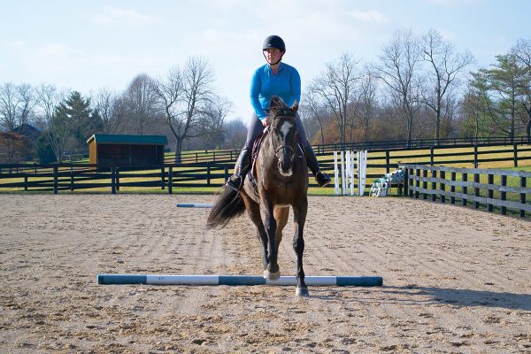 A horse and rider practicing a canter exercise over a ground pole