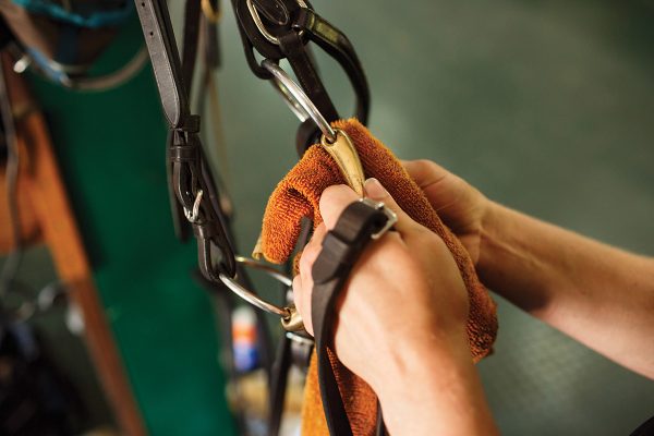 An equestrian shows how to clean tack by cleaning a bit