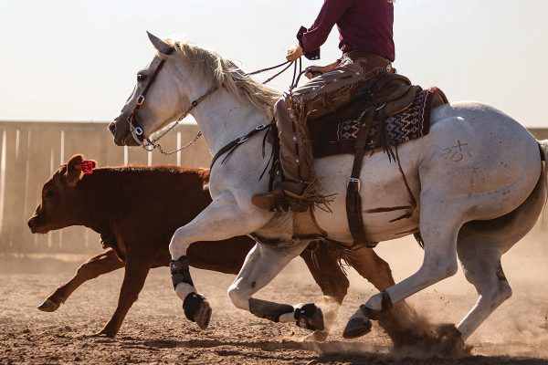 A rider competing on a college ranch horse team.
