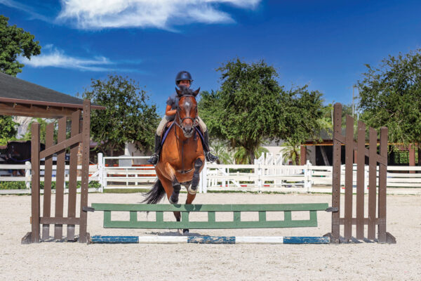 A rider jumping her horse