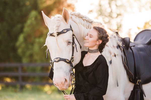 Meet the American Cream Draft Horse