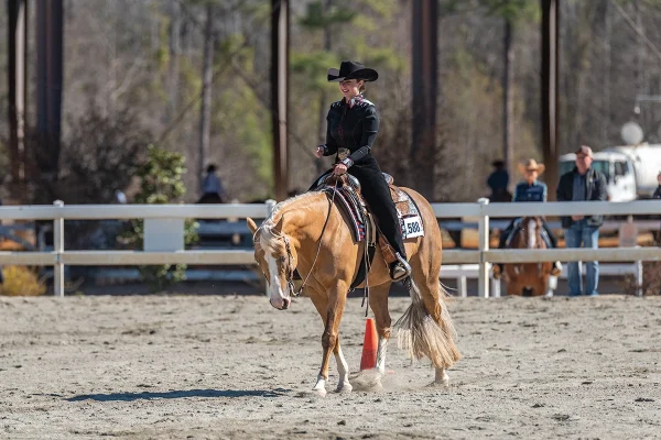 A young rider riding a draw horse in horsemanship.
