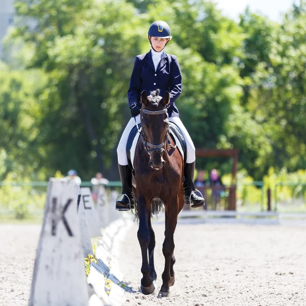 A horse and rider competing in dressage.