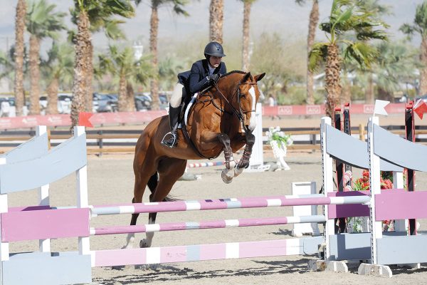 An equestrian competes in an equitation class, which subtly differs from hunters and jumpers