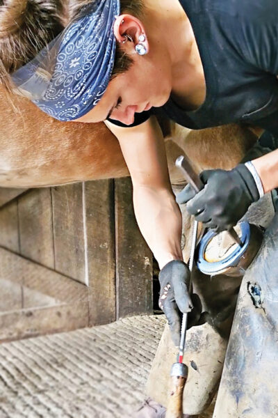 A farrier shoeing a horse