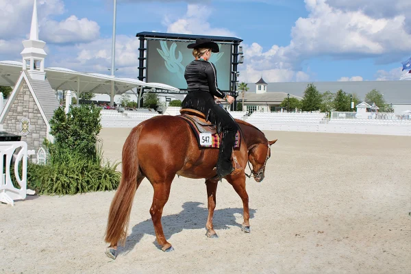 A young rider competing at her first horse show.
