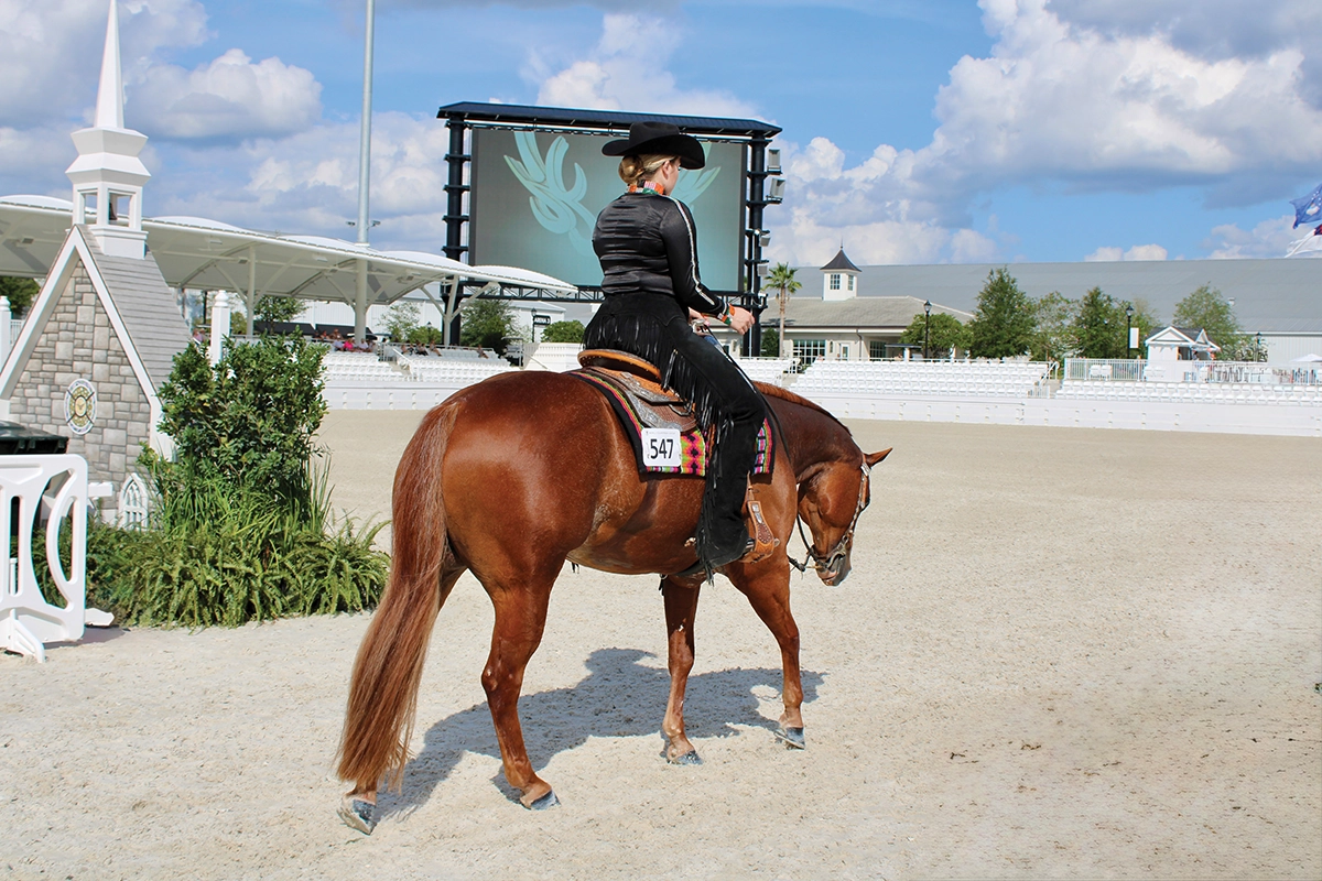 What to Know Before Your First Horse Show