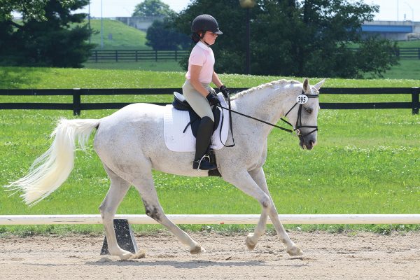 A young rider competes in her first horse show, which she has prepared for.