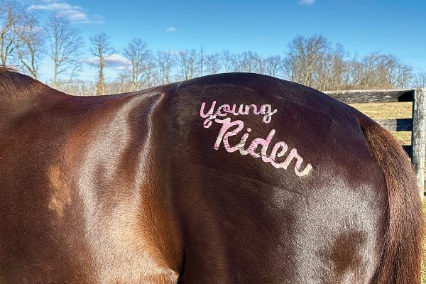 Decorate Your Horse with Glitter