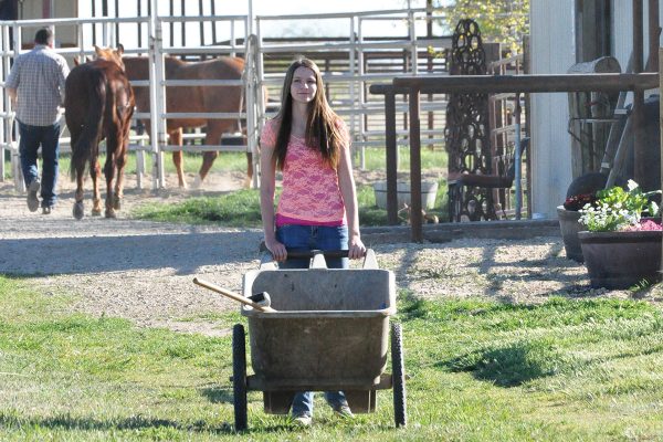 A girl pushes a wheelbarrow, maintaining good manure management for green horsekeeping