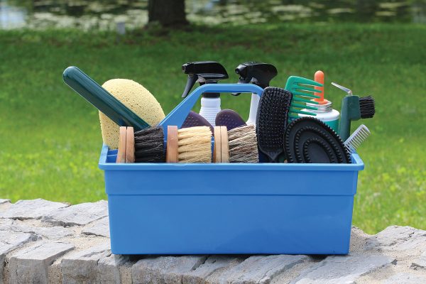 Horse grooming kit