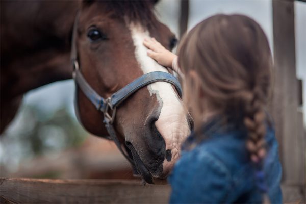 A girl petting a pony