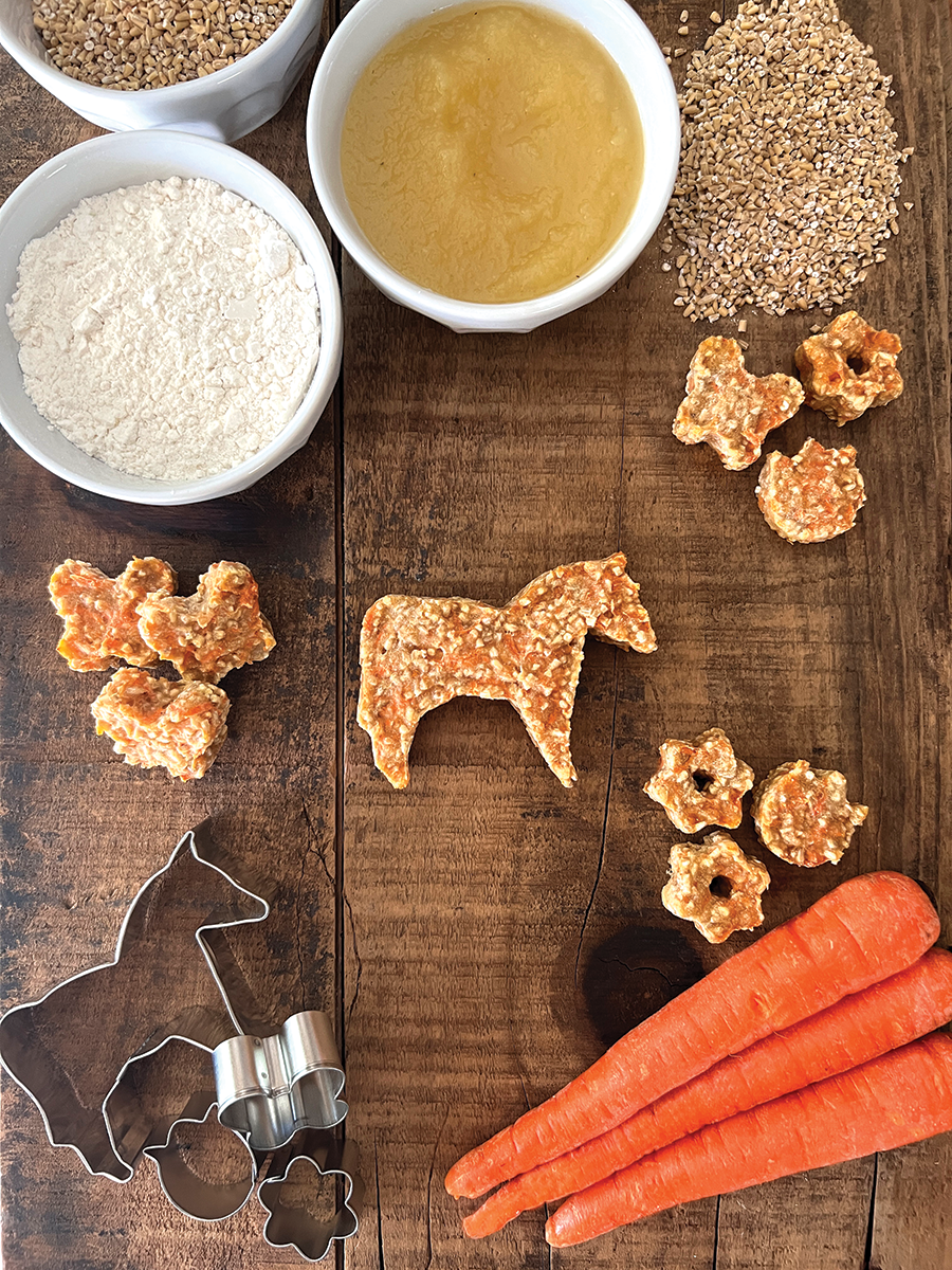Carrot Cookies for Your Horse