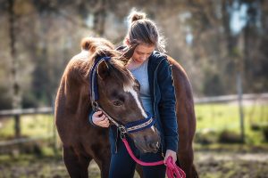 How to Treat a Horse with a Fever