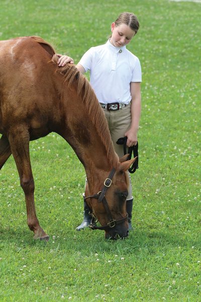 A young equestrian letting her pony graze