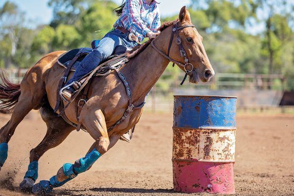 Leg Wraps & Boots for Your Horse