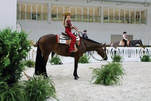 Horse Shows on a Budget