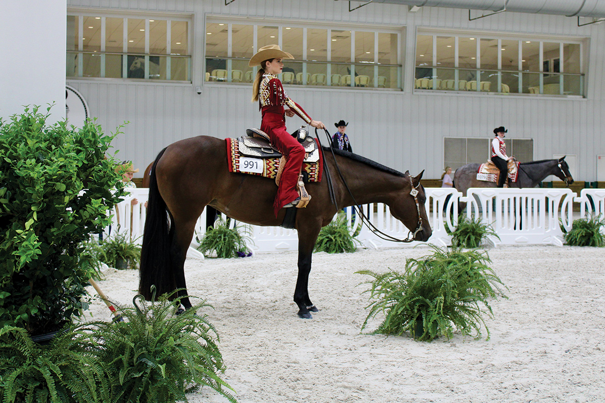 Horse Shows on a Budget