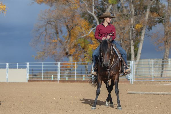 A rider and her horse performing a sidepass