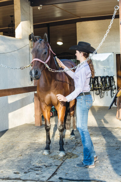 A horseless rider grooming a horse to get her horse fix