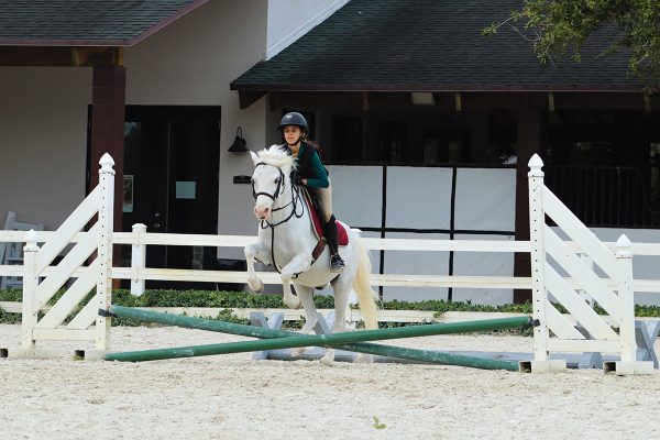 A young rider practices a jumping exercise on her pony