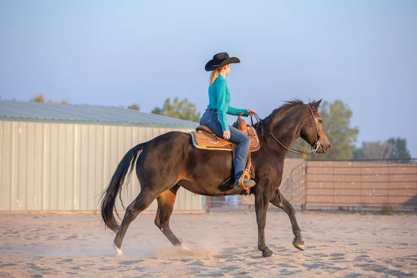 A rider transitions her horse into the lope.