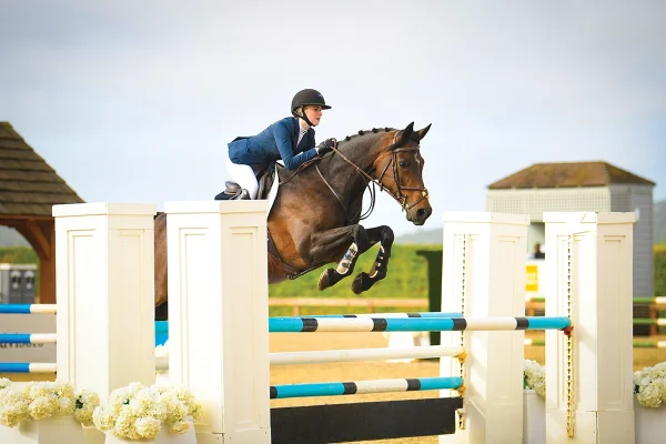 Mare jumping her horse.
