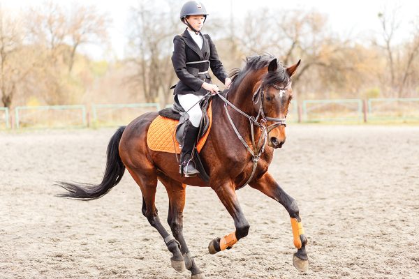 The Matching Riding Gear Trend