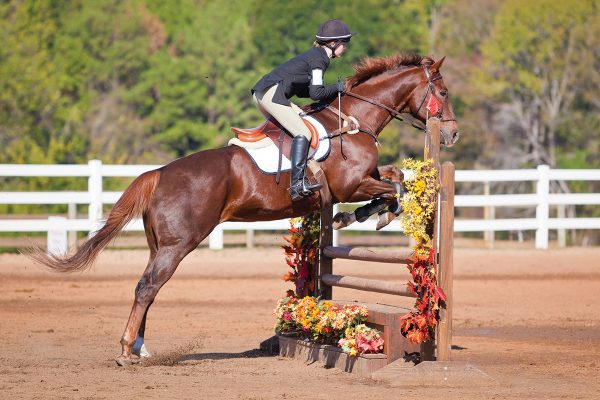 A girl competes on a jumping pattern after memorizing and visualizing the course