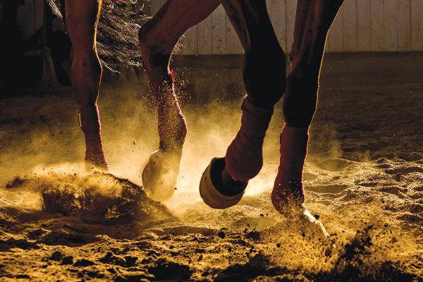 A close-up of a horses' legs in an arena.