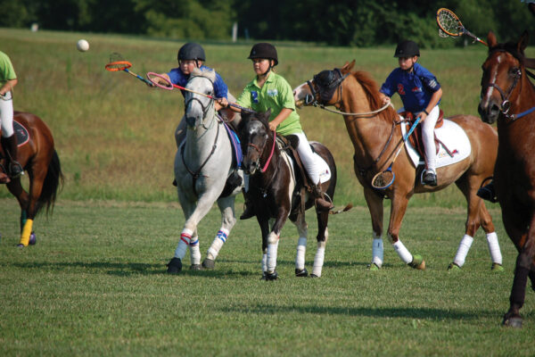Riders playing polocrosse