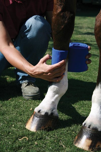 A demonstration of how to put on polo wraps