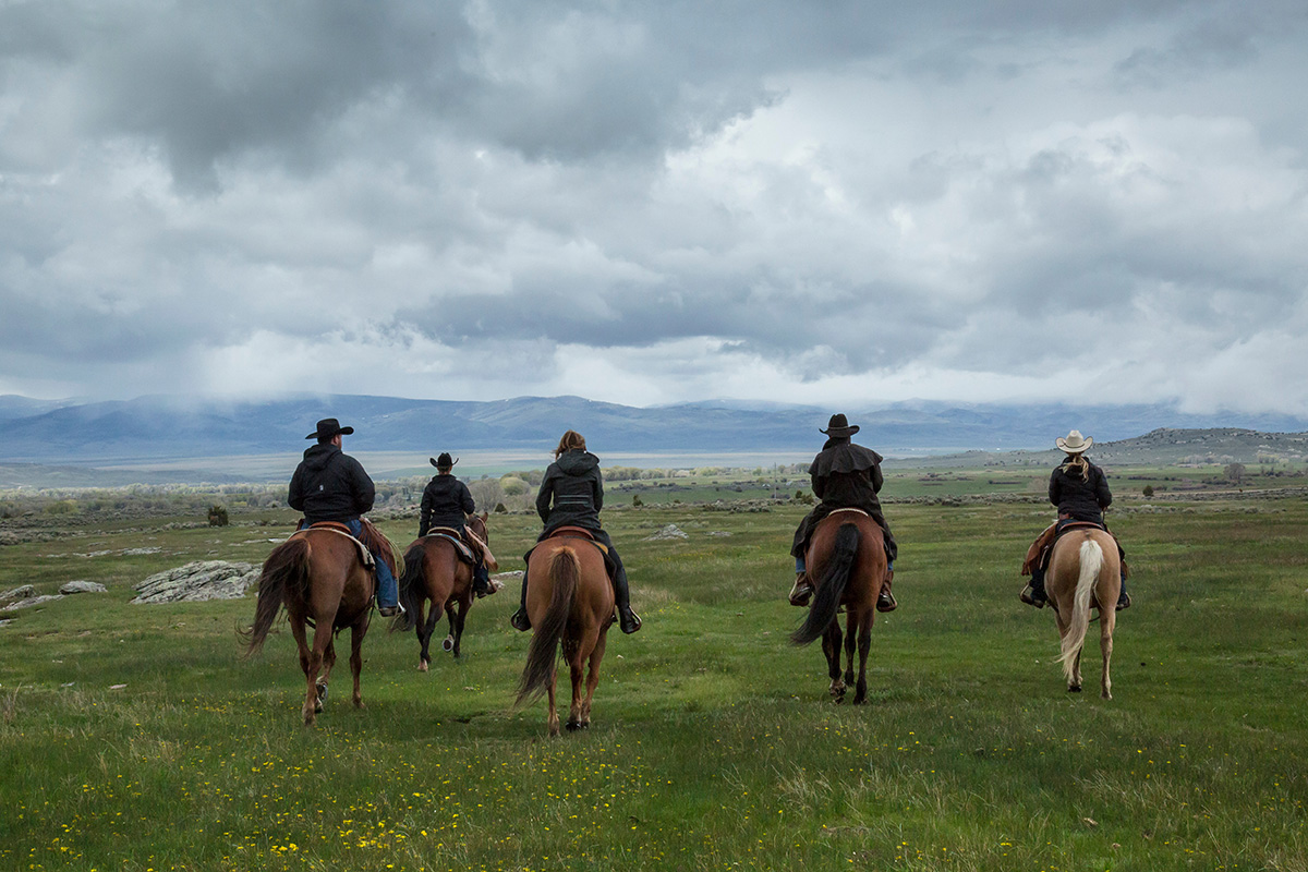 Dude ranch horses